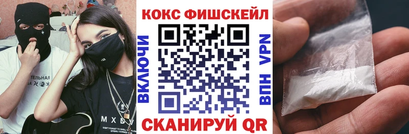 Купить где  Кизляр  Cocaine Fish Scale 