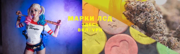 прущие крисы Баксан