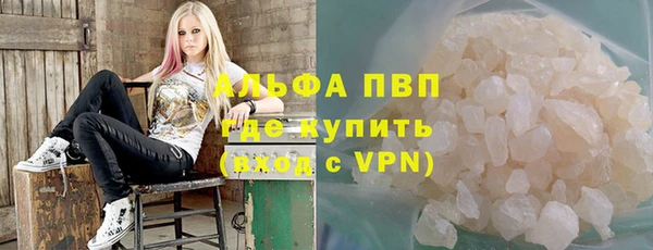 сатива Белокуриха